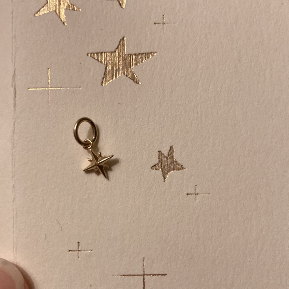 Palm Sunday Star Charm 14 k